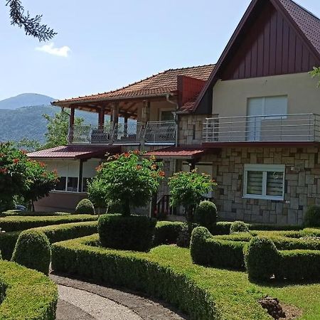 Guest House Vila Aleksa Bogutovac المظهر الخارجي الصورة