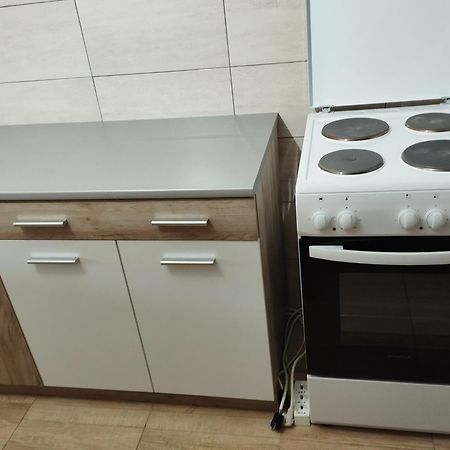 Guest House Vila Aleksa Bogutovac المظهر الخارجي الصورة