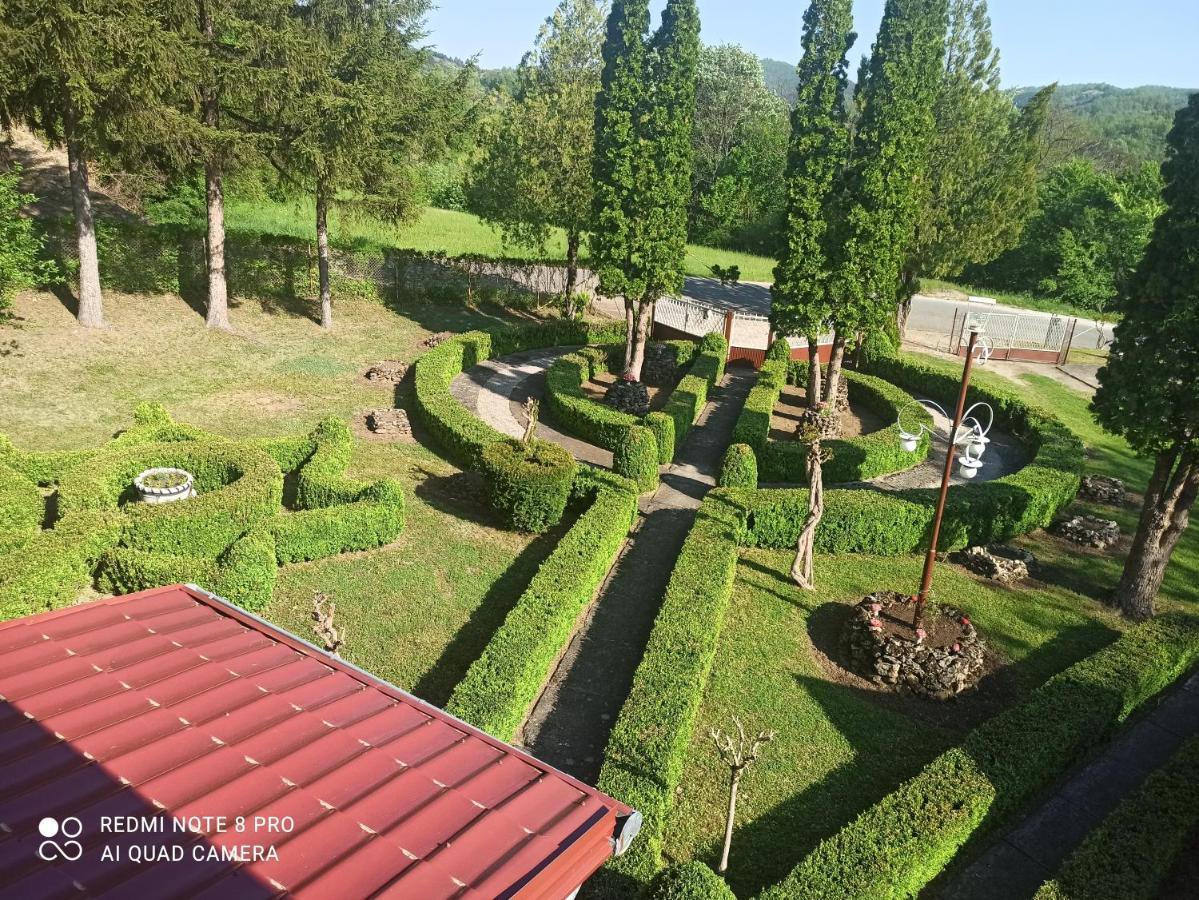 Guest House Vila Aleksa Bogutovac المظهر الخارجي الصورة