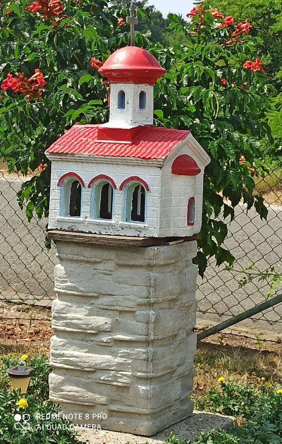 Guest House Vila Aleksa Bogutovac المظهر الخارجي الصورة