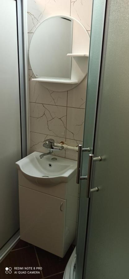 Guest House Vila Aleksa Bogutovac المظهر الخارجي الصورة