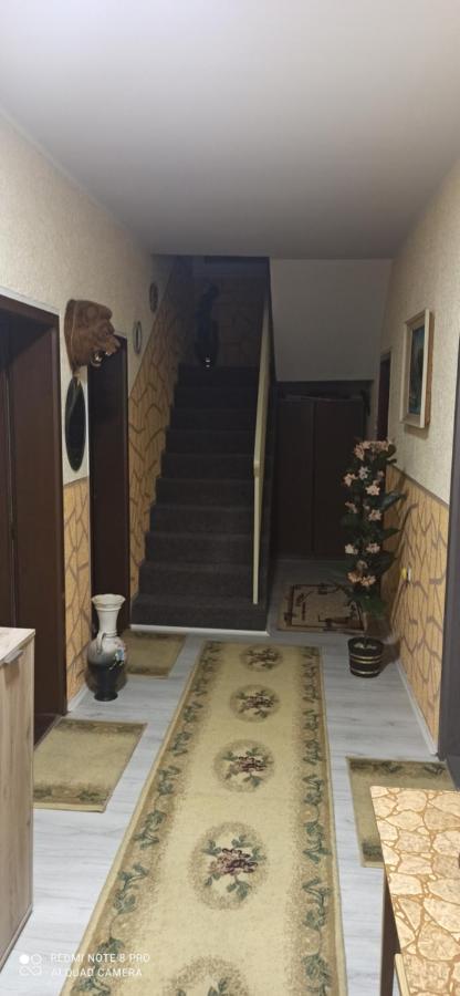 Guest House Vila Aleksa Bogutovac المظهر الخارجي الصورة