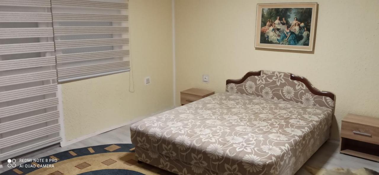 Guest House Vila Aleksa Bogutovac المظهر الخارجي الصورة