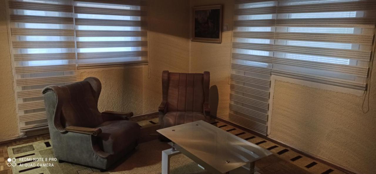 Guest House Vila Aleksa Bogutovac المظهر الخارجي الصورة