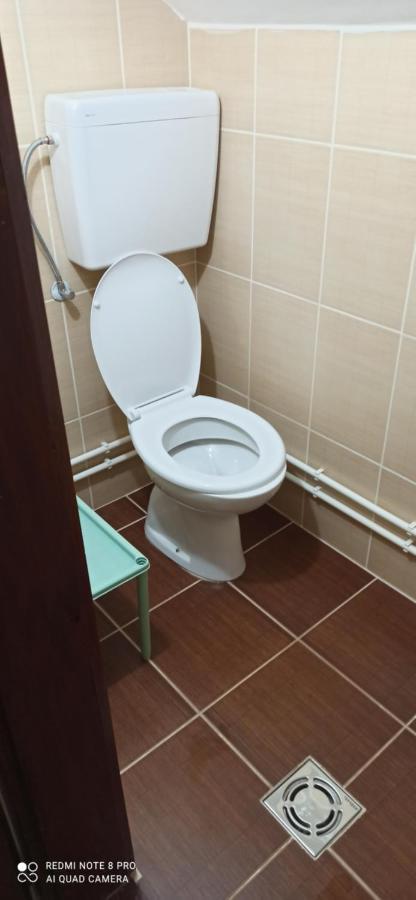 Guest House Vila Aleksa Bogutovac المظهر الخارجي الصورة