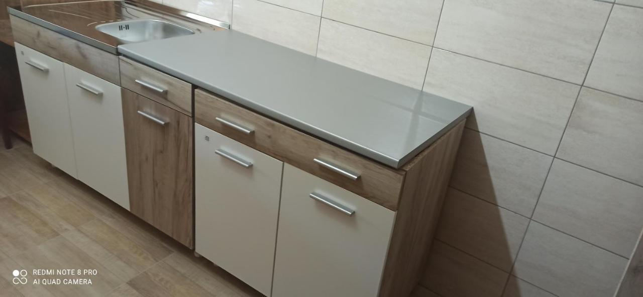 Guest House Vila Aleksa Bogutovac المظهر الخارجي الصورة