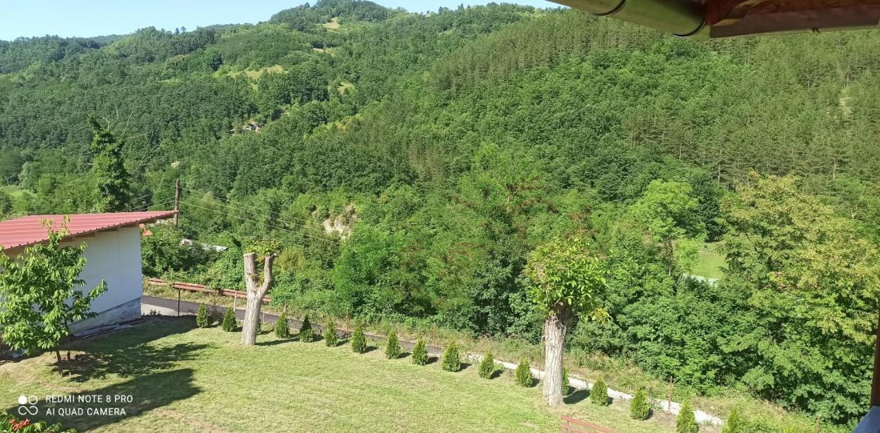 Guest House Vila Aleksa Bogutovac المظهر الخارجي الصورة