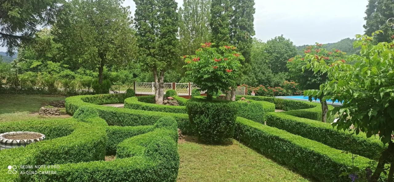 Guest House Vila Aleksa Bogutovac المظهر الخارجي الصورة
