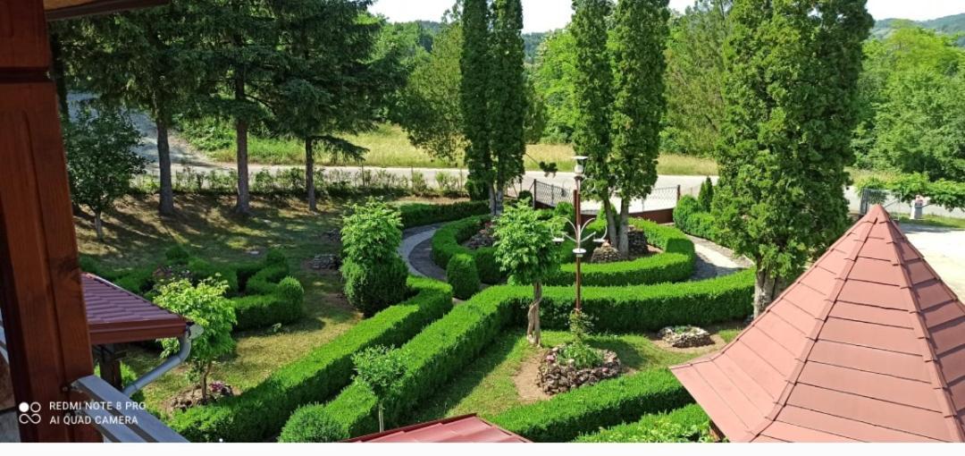 Guest House Vila Aleksa Bogutovac المظهر الخارجي الصورة