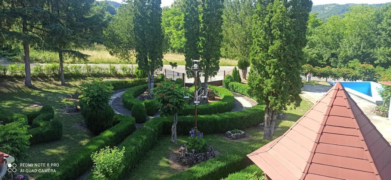 Guest House Vila Aleksa Bogutovac المظهر الخارجي الصورة