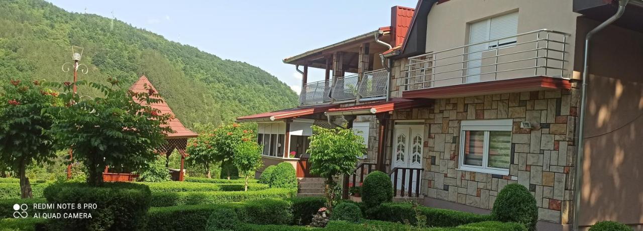 Guest House Vila Aleksa Bogutovac المظهر الخارجي الصورة