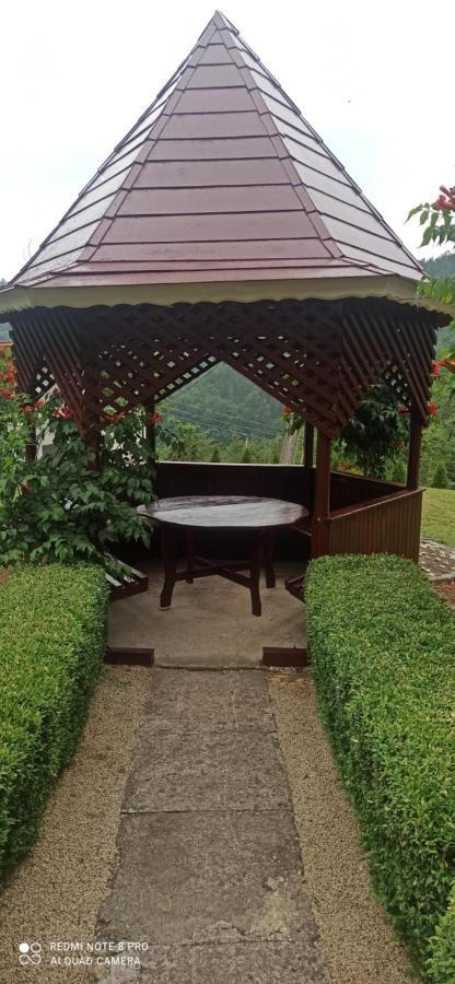 Guest House Vila Aleksa Bogutovac المظهر الخارجي الصورة