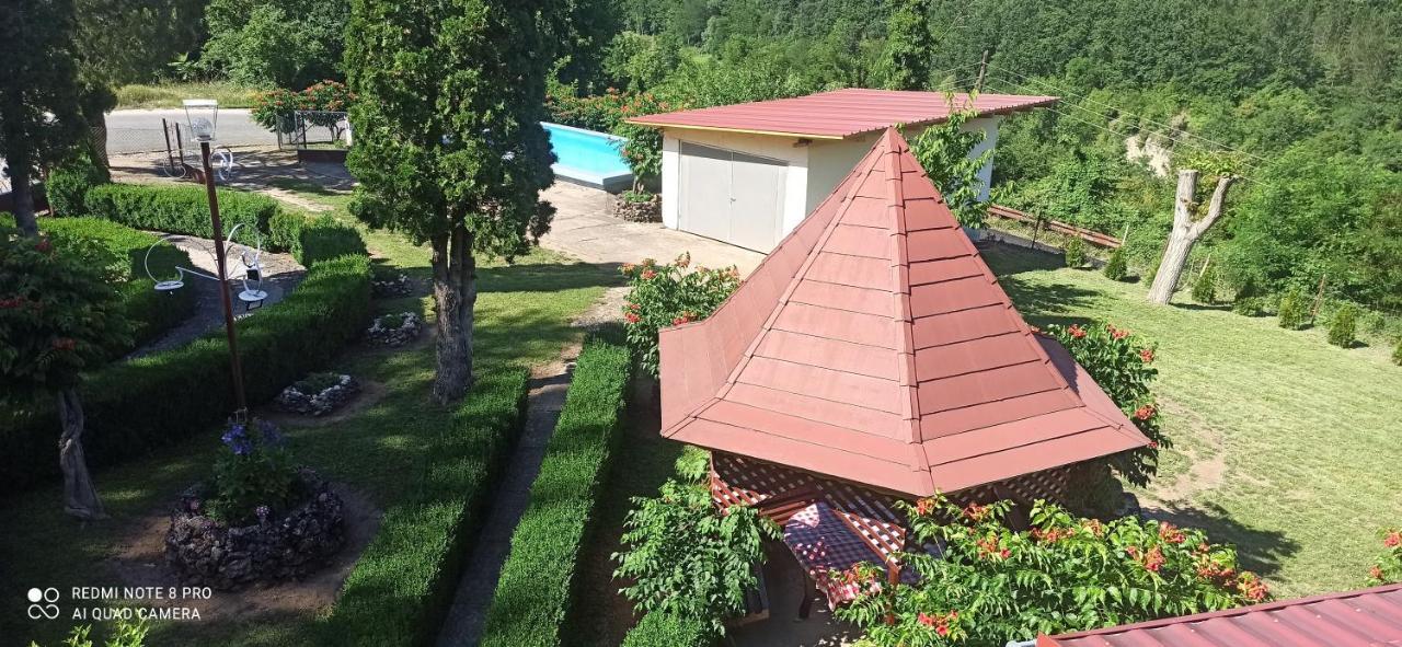 Guest House Vila Aleksa Bogutovac المظهر الخارجي الصورة