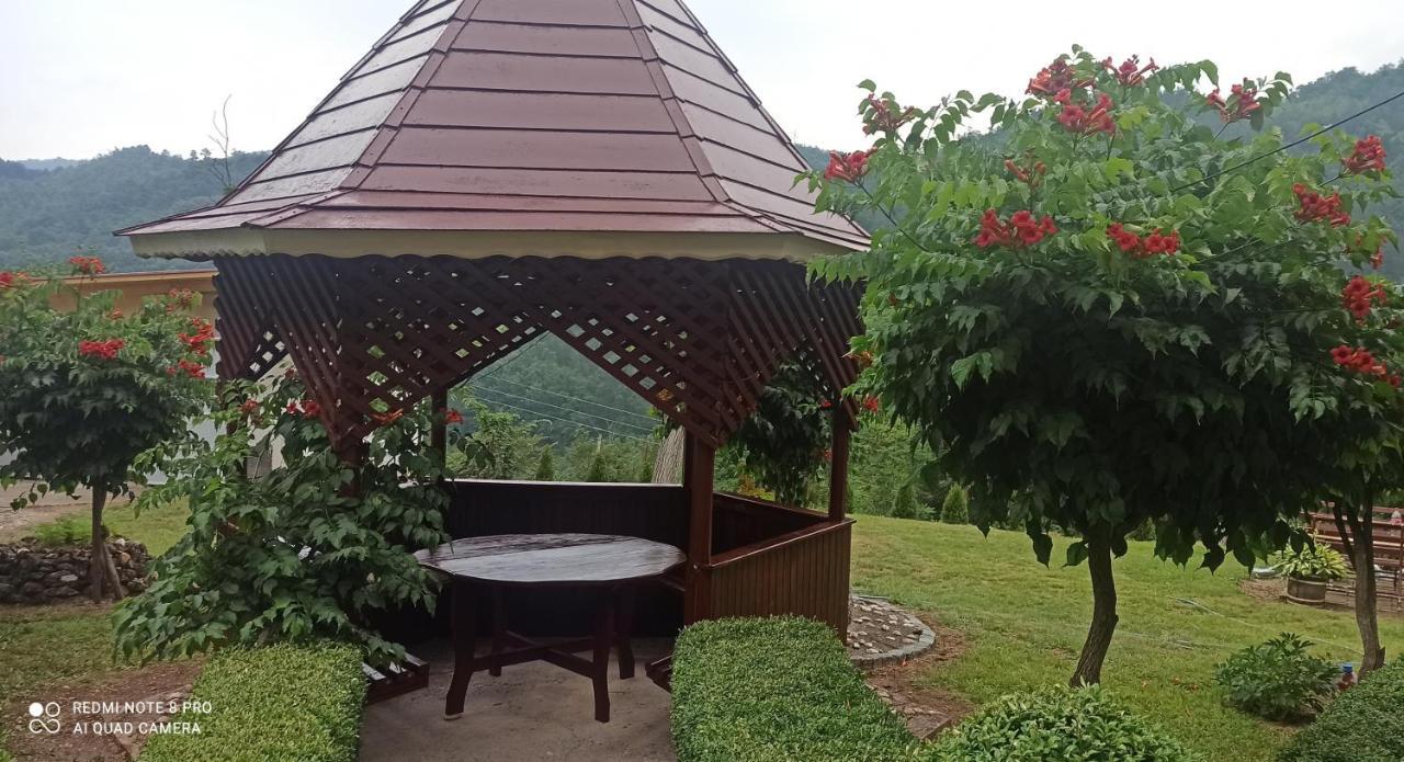 Guest House Vila Aleksa Bogutovac المظهر الخارجي الصورة