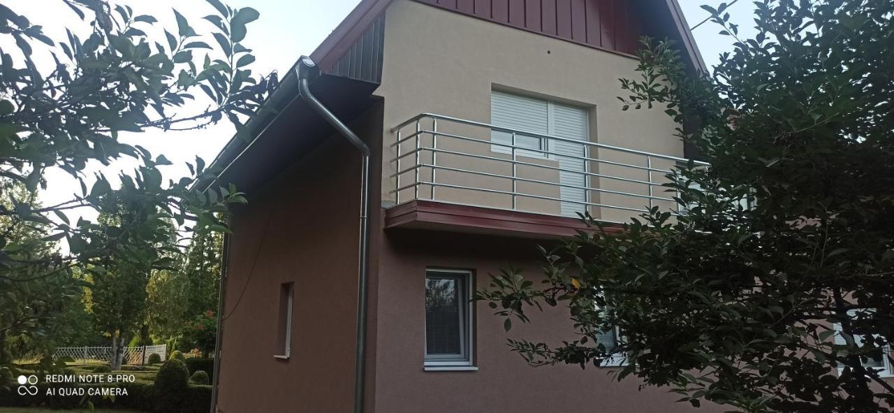 Guest House Vila Aleksa Bogutovac المظهر الخارجي الصورة