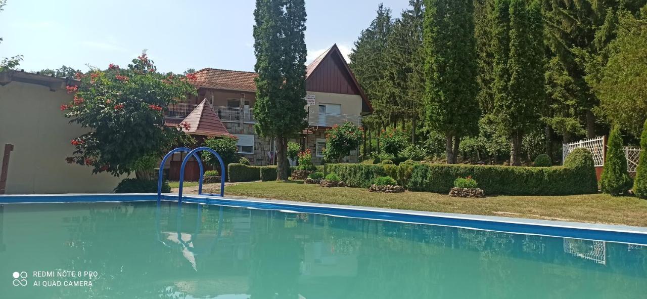 Guest House Vila Aleksa Bogutovac المظهر الخارجي الصورة
