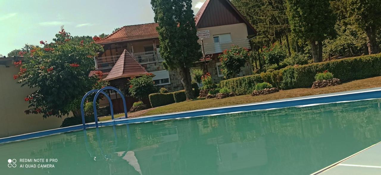 Guest House Vila Aleksa Bogutovac المظهر الخارجي الصورة